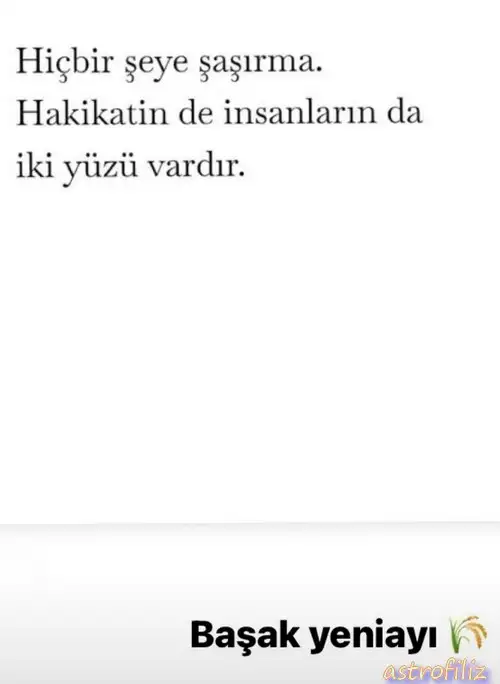 b1 (3).webp