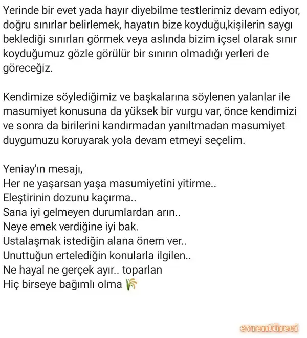 b1 (3).webp
