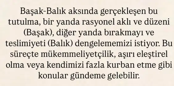b1 (3).webp