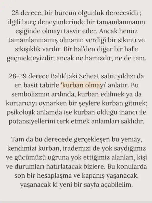 b1 (3).webp