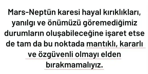 b1 (4).webp