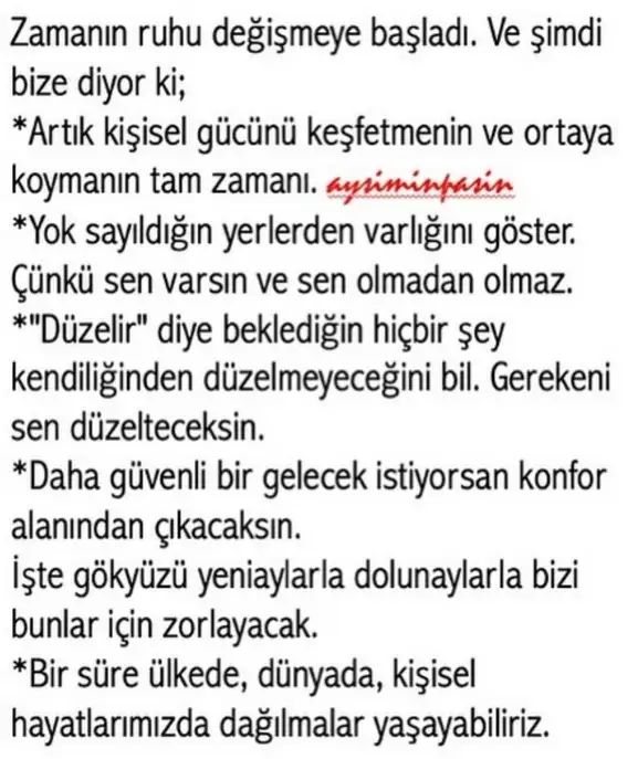 b1 (4).webp