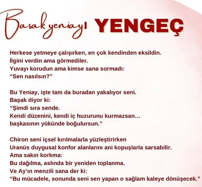 b1 (4).webp