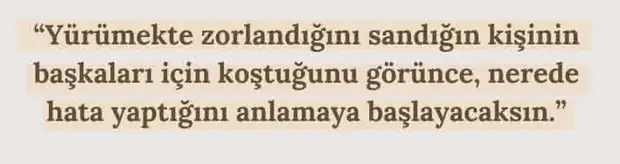 b1 (4).webp