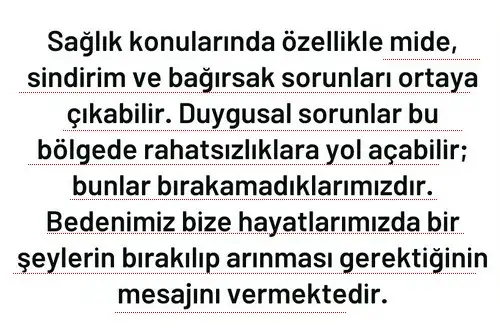 b1 (5).webp