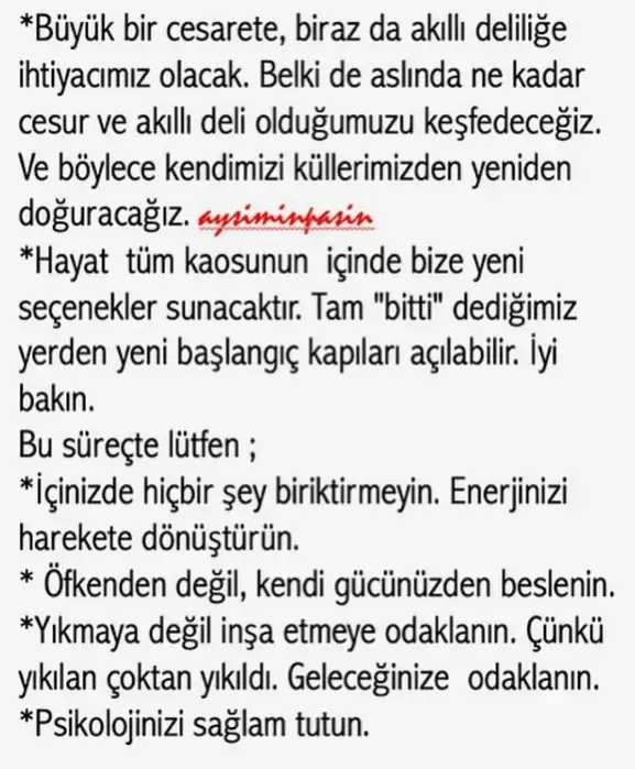 b1 (5).webp