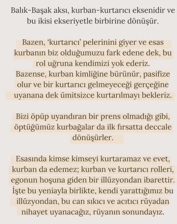b1 (5).webp