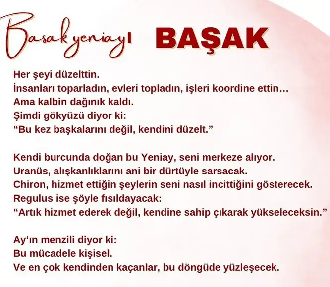 b1 (6).webp