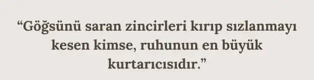 b1 (6).webp