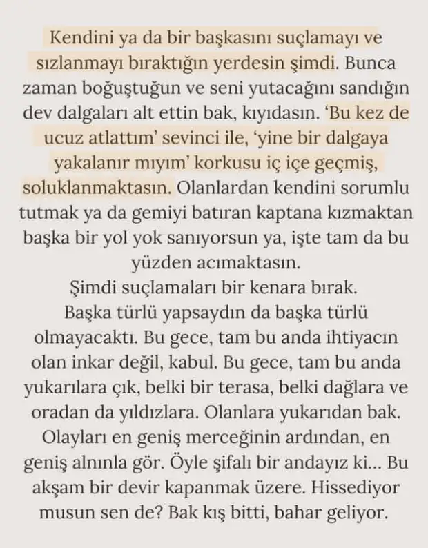 b1 (7).webp