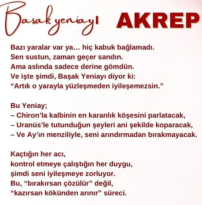 b1 (8).webp