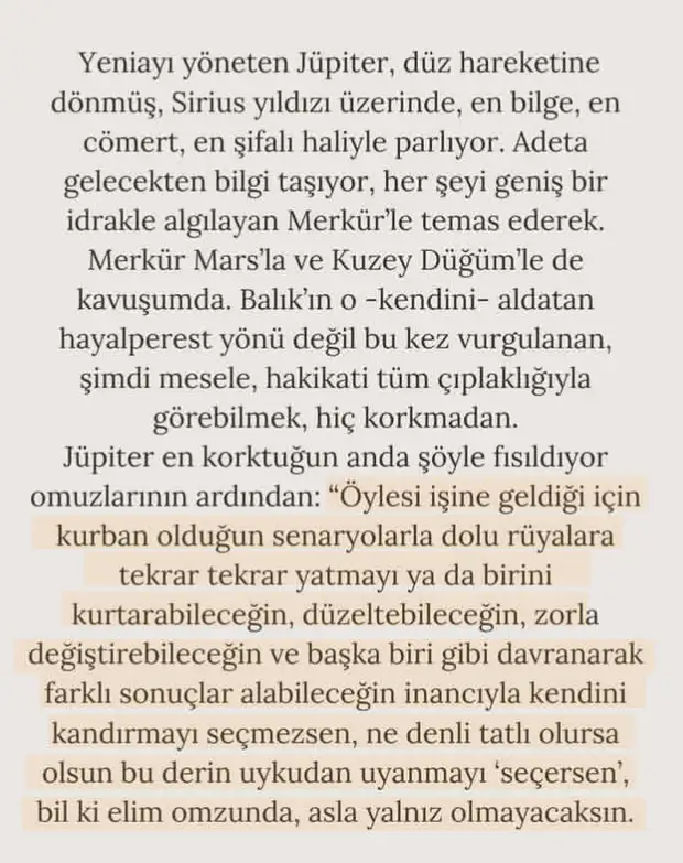 b1 (8).webp