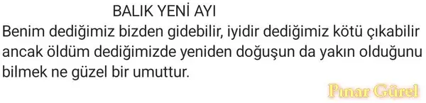b1.webp