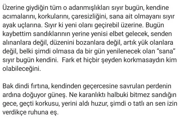 b10 (2).webp