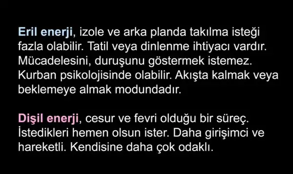 b10 (5).webp