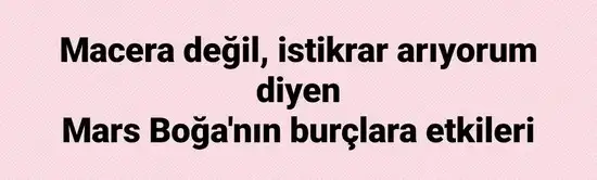 b11 (1).webp