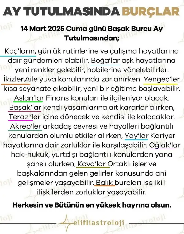b11.webp