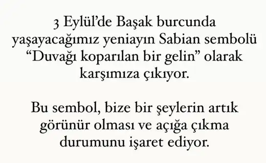 b12 (2).webp