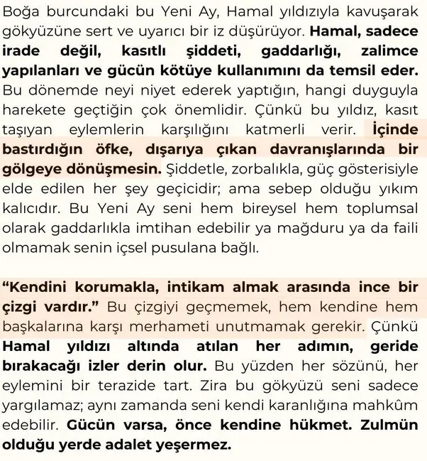 b12 (2).webp