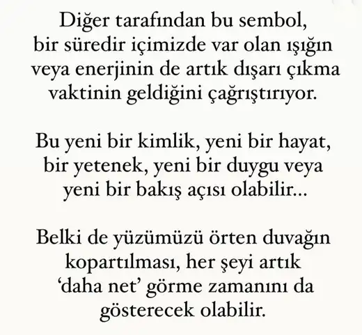 b12 (4).webp