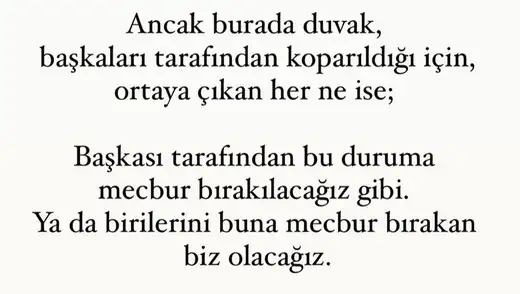 b12 (5).webp