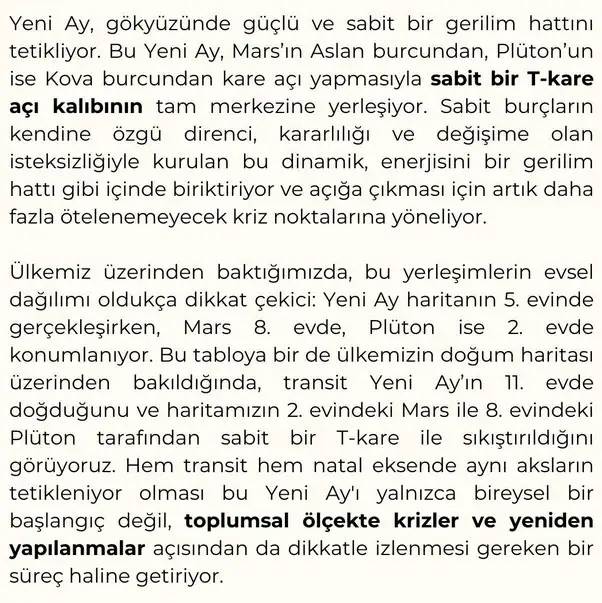 b12 (5).webp