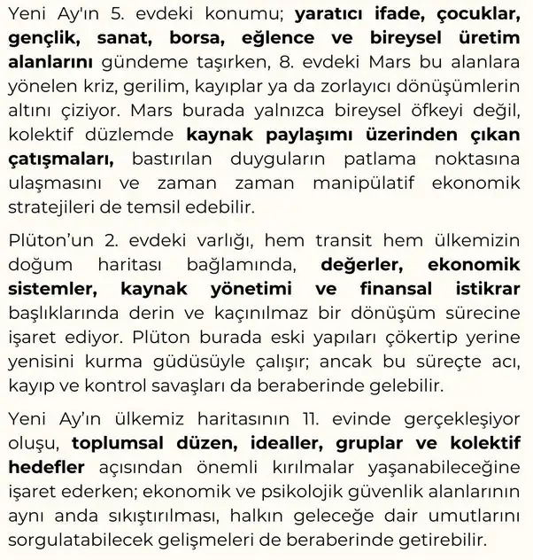 b12 (6).webp