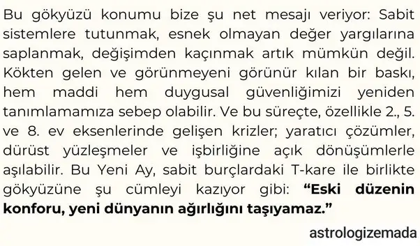 b12 (7).webp