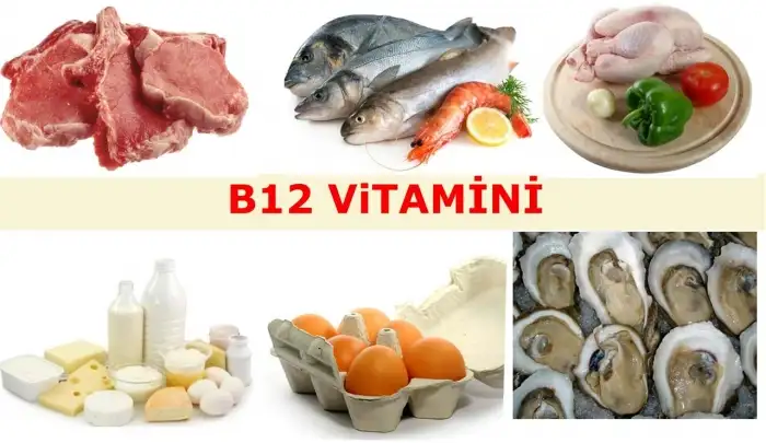 b12-vitamini-hangi-besinlerde-bulunur-ve-onemi-244754.webp