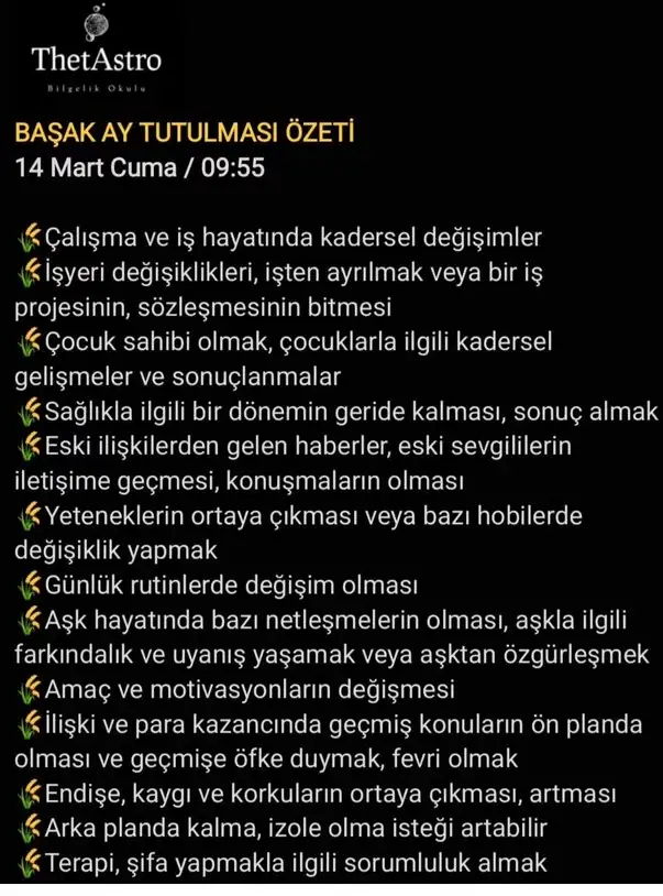 b12.webp
