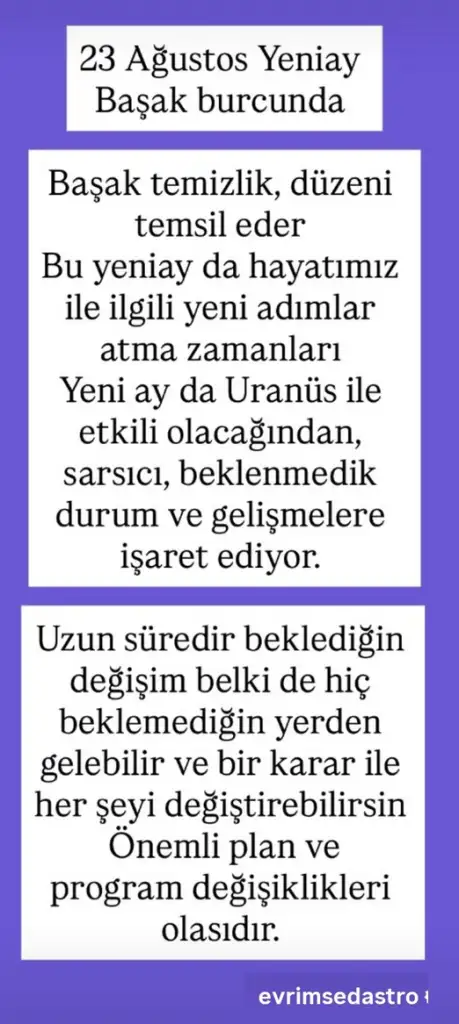 b12.webp