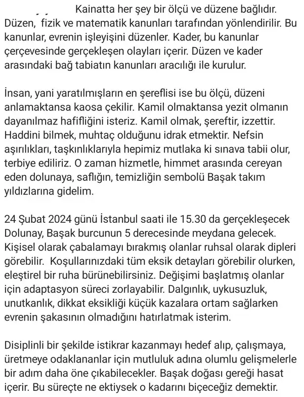 b13 (2).webp