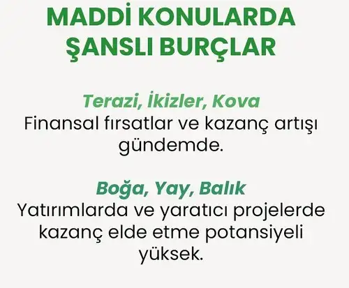 b13 (2).webp