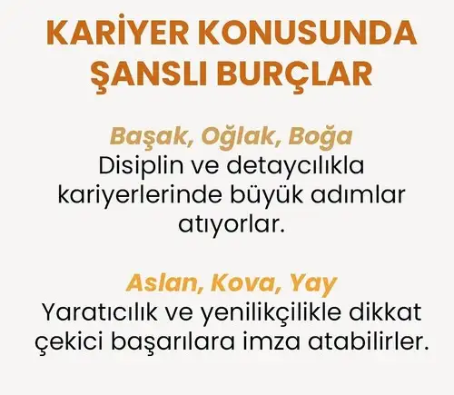 b13 (3).webp