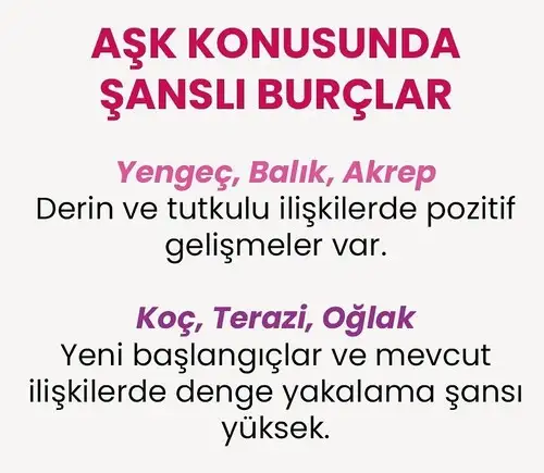 b13 (4).webp