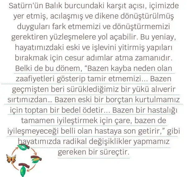 b15 (3).webp