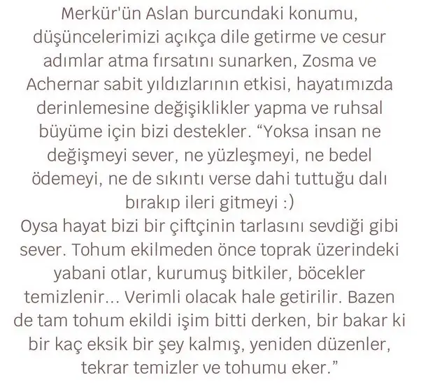 b15 (4).webp