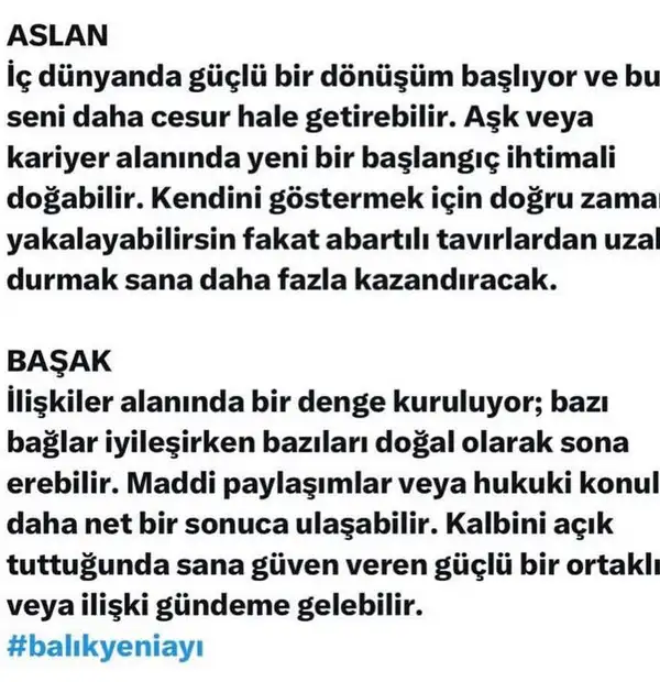 b16 (3).webp