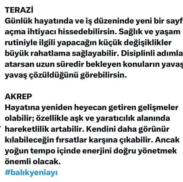 b16 (4).webp