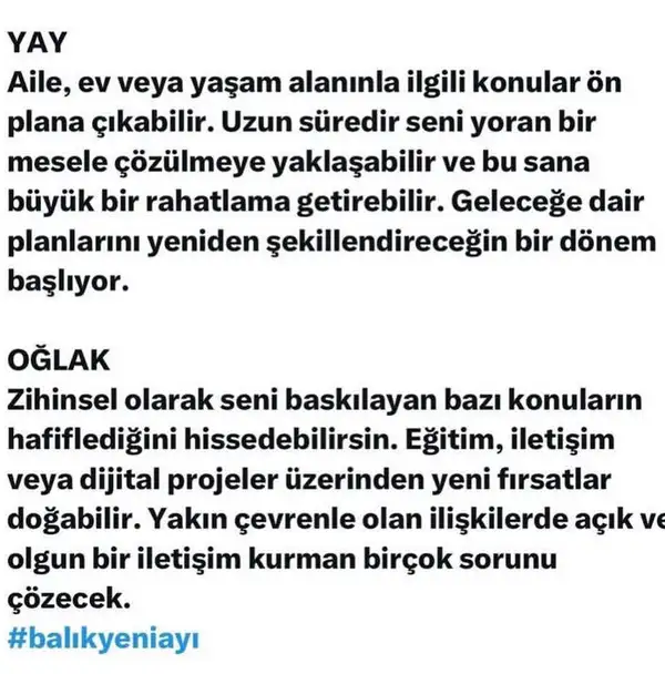 b16 (5).webp