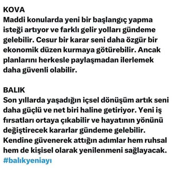 b16 (6).webp