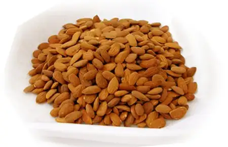b17-vitamini.webp