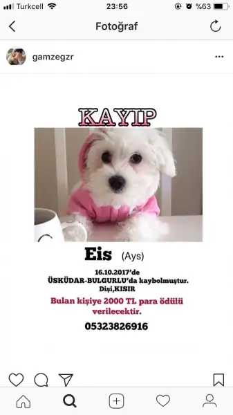 B1B2428D-F777-42C5-9D66-8176BE130019.webp