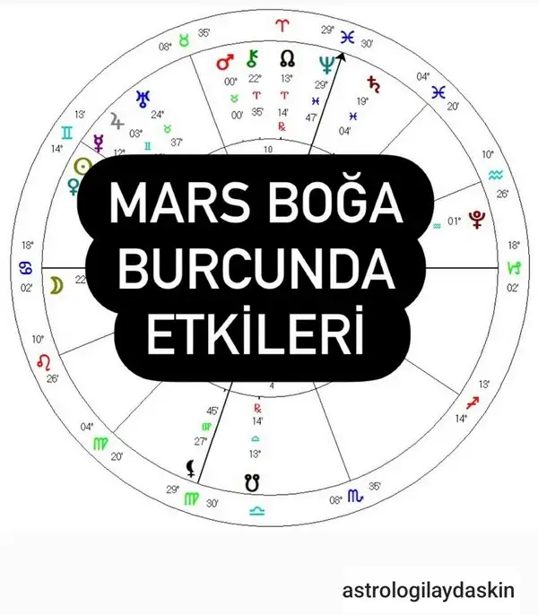 b2 (1).webp