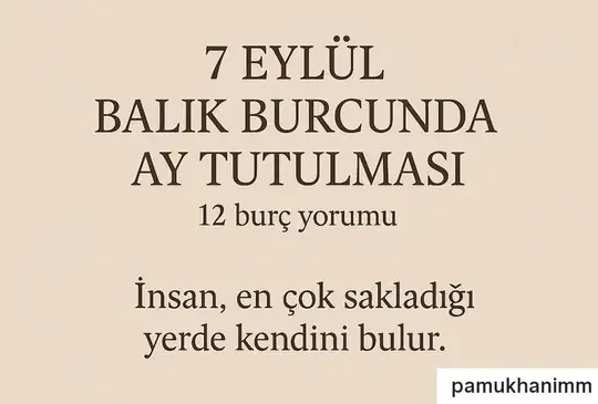 b2 (1).webp