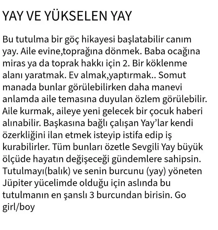 b2 (10).webp
