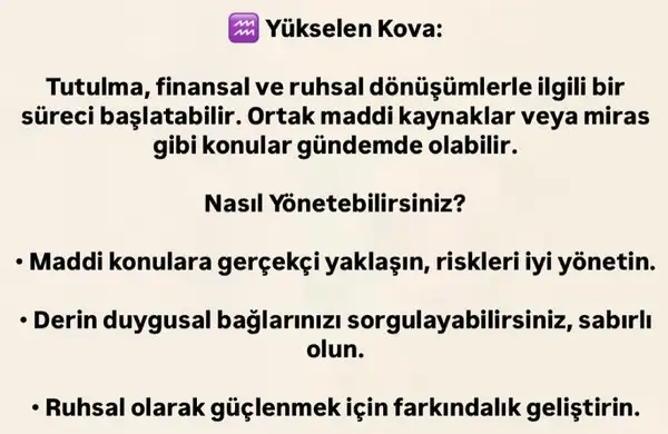 b2 (12).webp