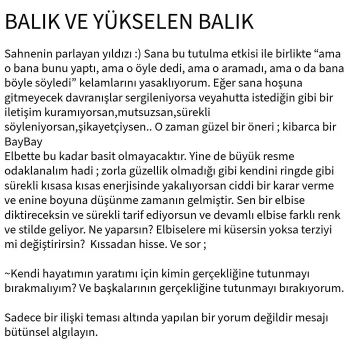 b2 (13).webp