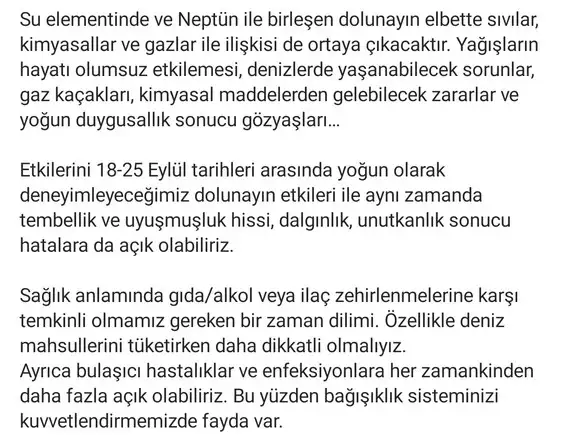 b2 (2).webp