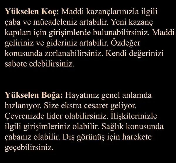 b2 (2).webp